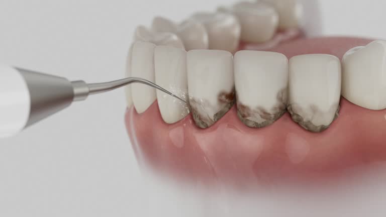 Reliable Dental contractor in Biltmore Forest, NC by Dentist Open Now